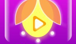 91萤火直播,点亮夜空，共享精彩瞬间