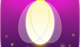 91萤火直播,点亮夜空，共享精彩瞬间